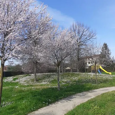 Skylucca With Parking Lucca